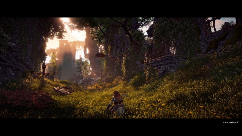 Guerilla Games reports early issues with Horizon: Zero Dawn's PC version