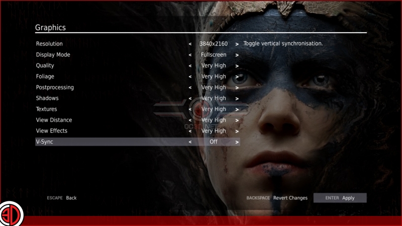 Hellblade: Senua's Sacrifice Graphical options and settings