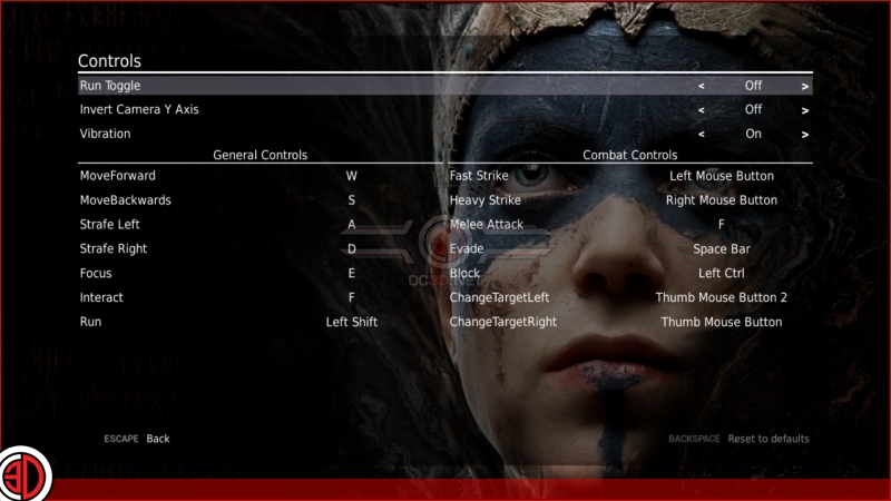 Hellblade: Senua's Sacrifice Graphical options and settings