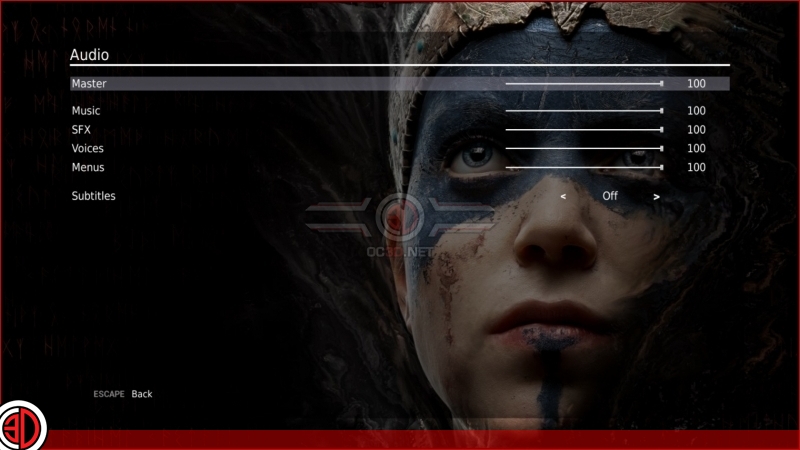 Hellblade: Senua's Sacrifice Graphical options and settings
