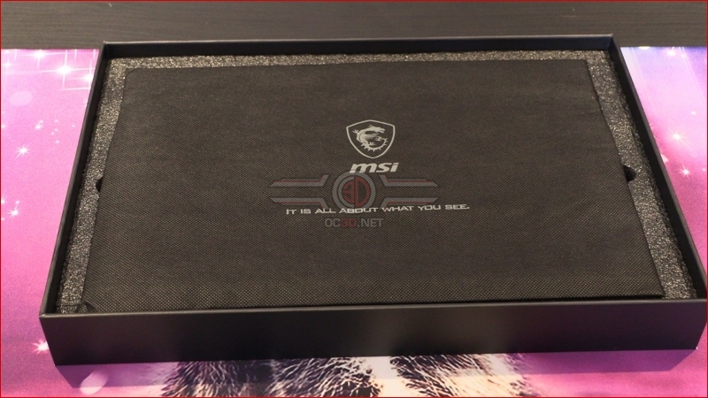 MSI Optix MAG161V Portable Display Review