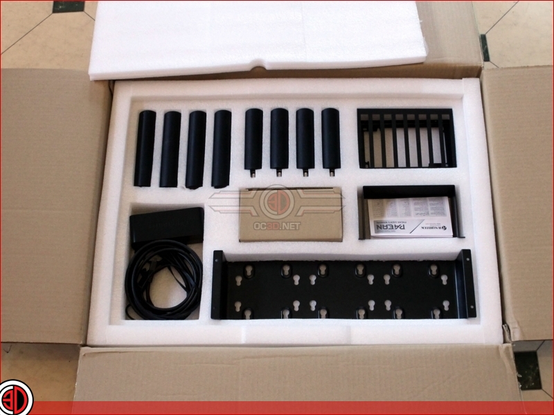 Raijintek Paean Review