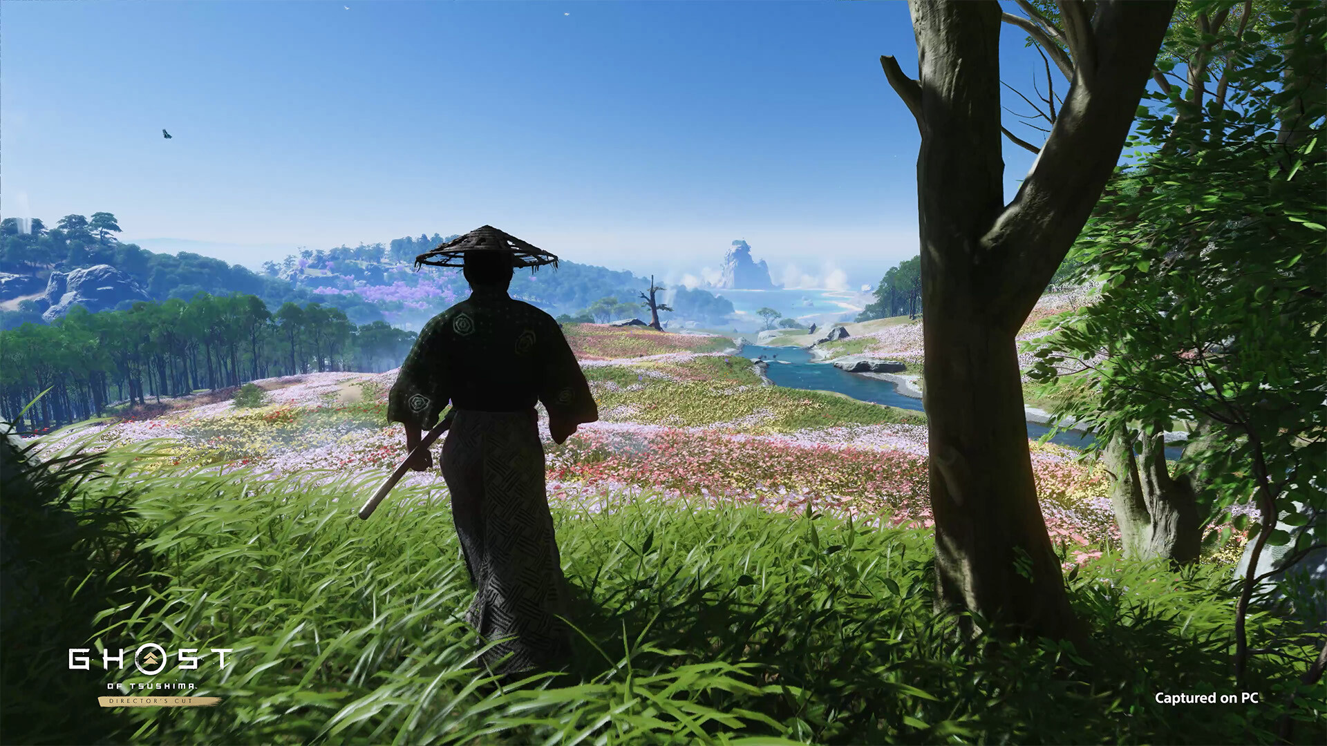 Ghost of Tsushima Directors Cut is coming to PC