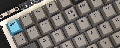 Ducky Cushion 98 Review